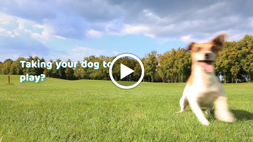 Pet Groomer «Bridgemill Pets», reviews and photos, 3760 Sixes Rd, Canton, GA 30114, USA