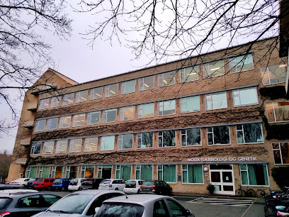 Aarhus Universitet Bygning 1131