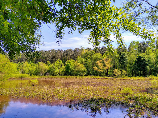 Nature Preserve «Clyde Shepherd Nature Preserve», reviews and photos, 2580 Pine Bluff Dr, Decatur, GA 30033, USA