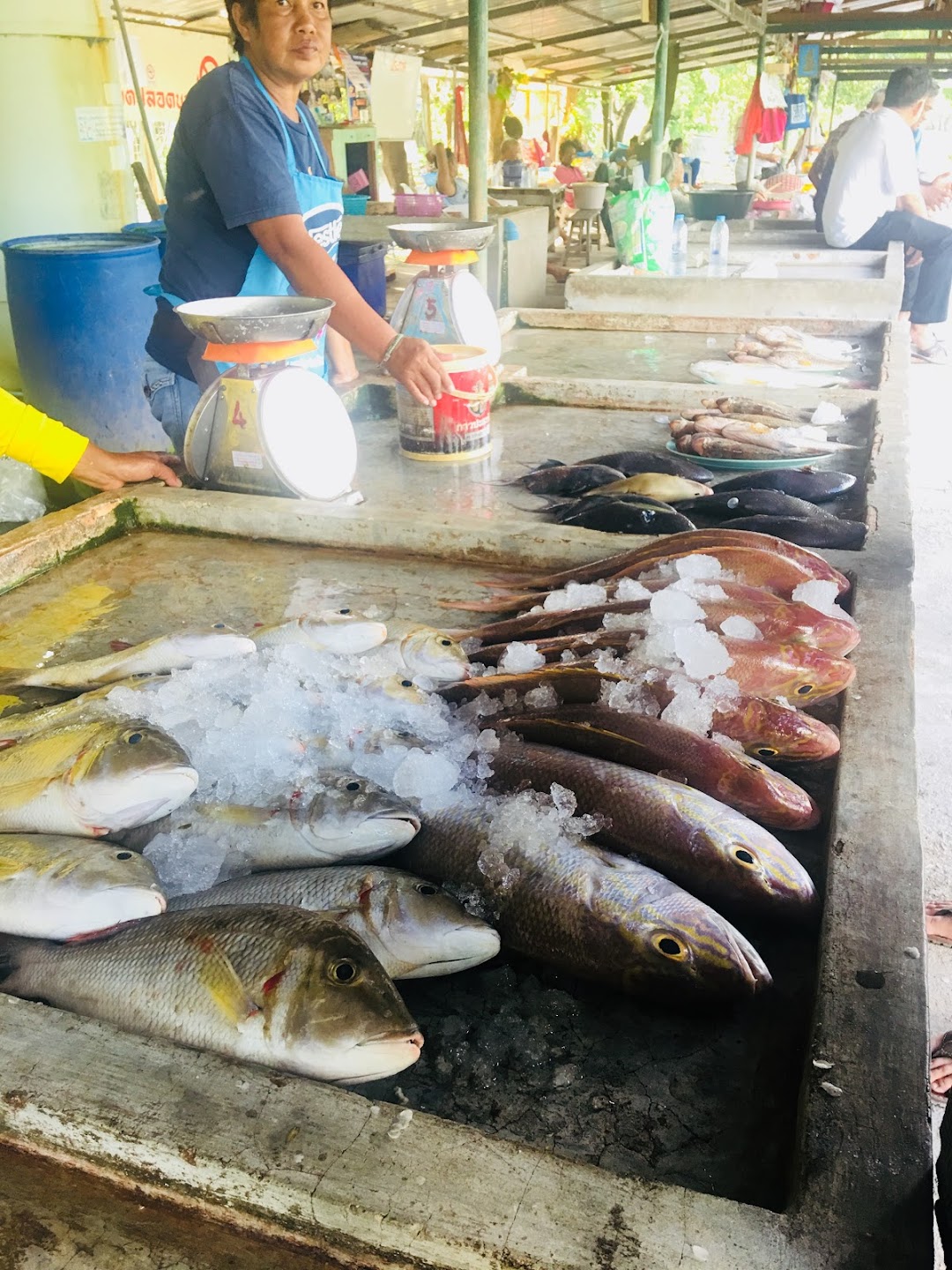 ตลาดปลากอจ๊าน