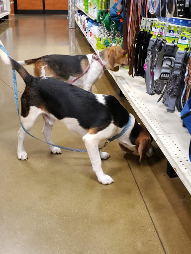 Pet Supply Store «PetSmart», reviews and photos, 1451 Dallas Hwy, Waxahachie, TX 75165, USA