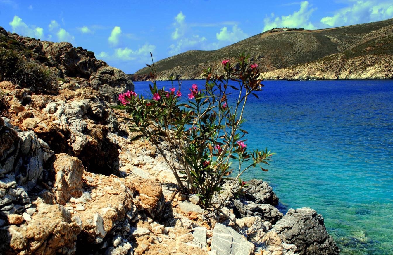 Foto von Paralia Agios Sergios und seine wunderschöne Landschaft