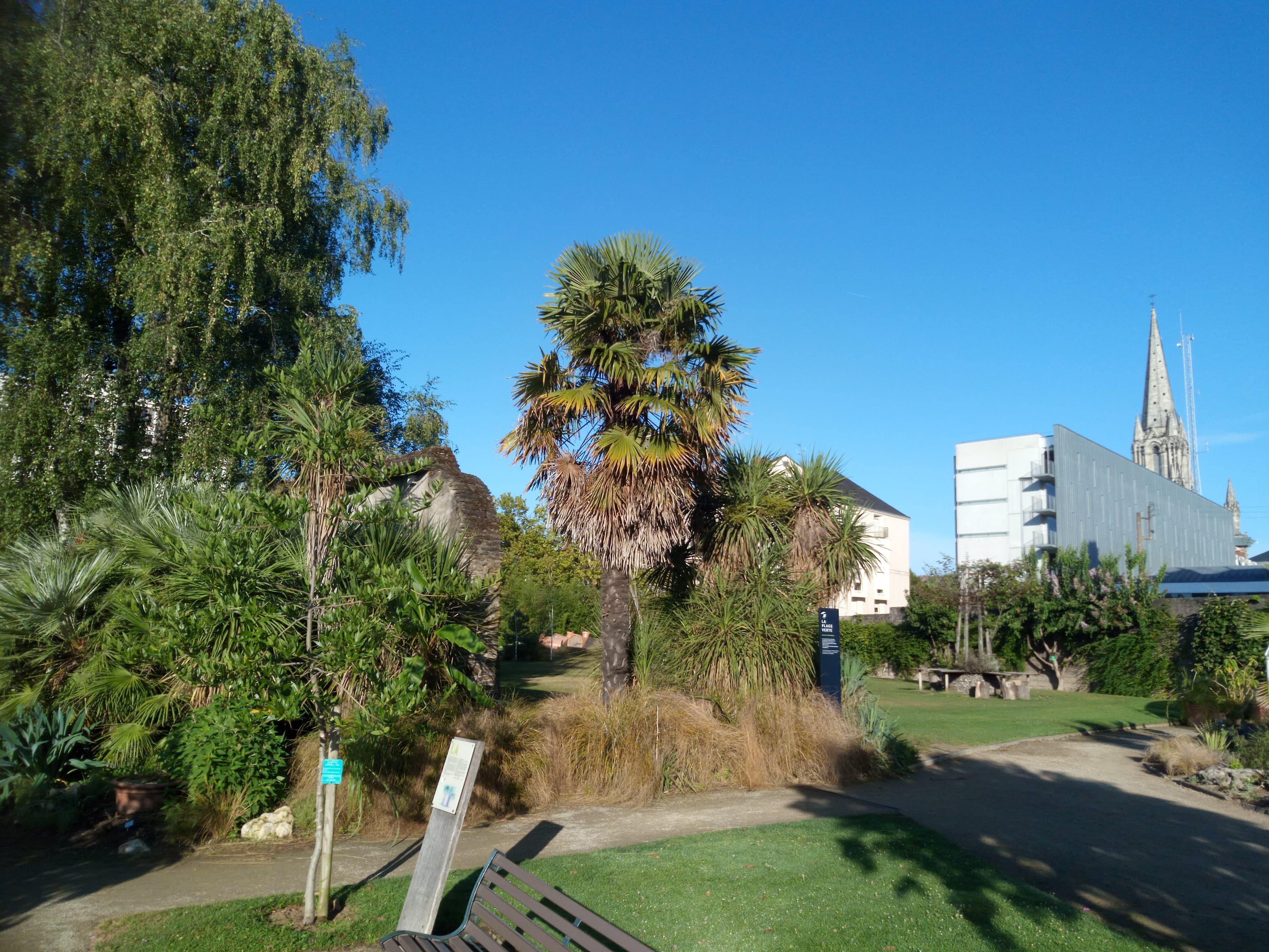 Photo n° 4 de l'avis de Le.o fait le 10/08/2018 à 14:02