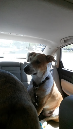 Car Wash «E Z Clean Car Wash», reviews and photos, 895 Grass Valley Hwy, Auburn, CA 95603, USA