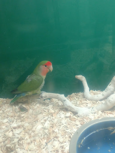 Pet Store «Pet City», reviews and photos, 14200 E Alameda Ave #2036, Aurora, CO 80012, USA