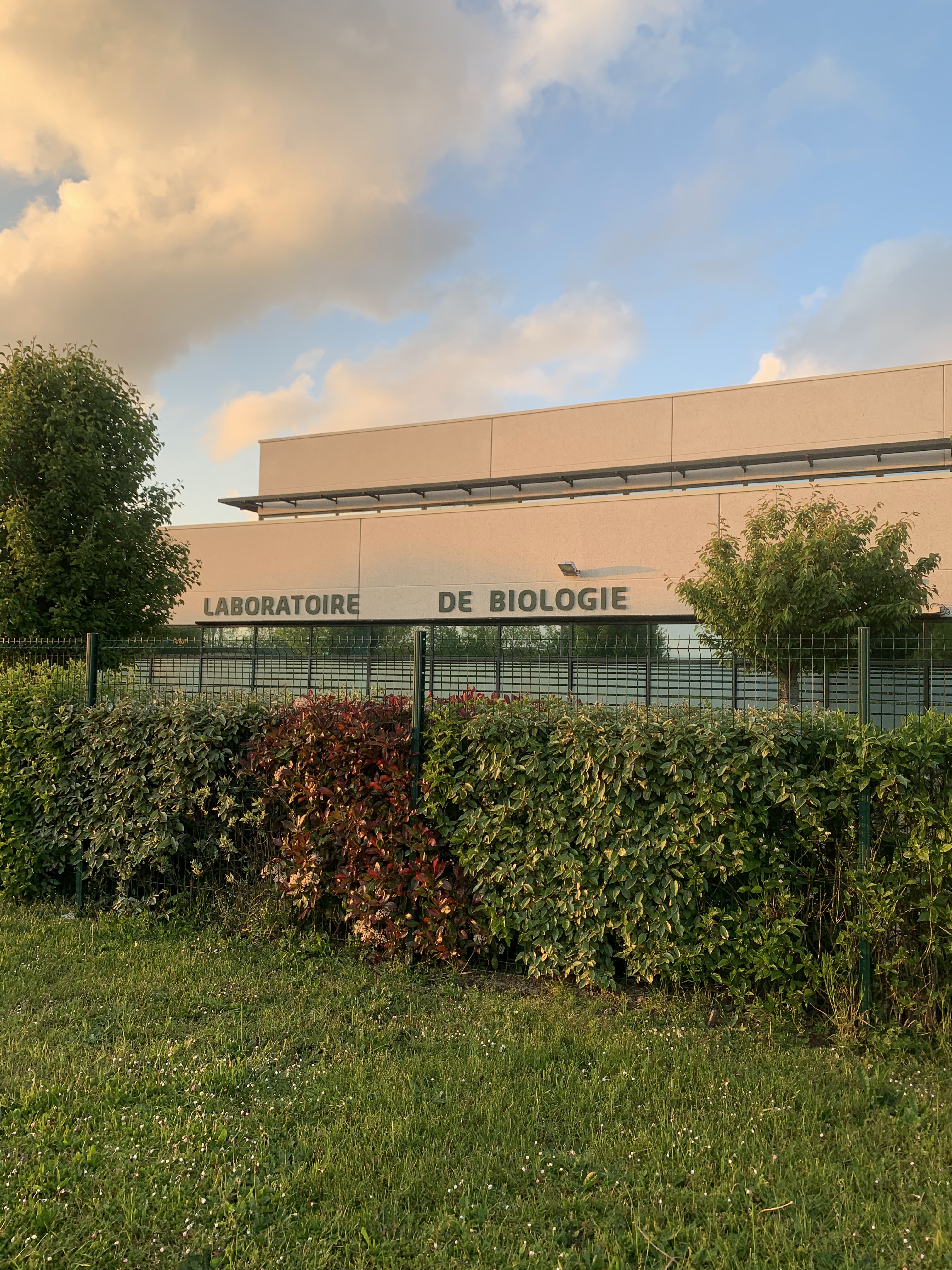 Photo n° 4 de l'avis de SR. fait le 14/05/2021 à 18:50