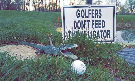 Banquet Hall «Arrowhead Golf Club & Banquet Center», reviews and photos, 1500 Rogwin Cir SW, North Canton, OH 44720, USA