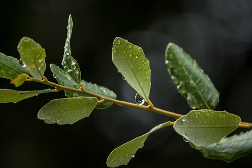 Park «Haltom Rd Park», reviews and photos, 3113 Haltom Rd, Haltom City, TX 76117, USA