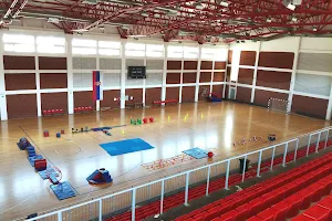 Sports Hall "Leposavic" image