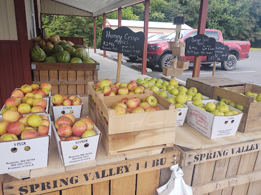 Supermarket «Spring Valley Farm Corner Market», reviews and photos, 22580 Northwestern Turnpike, Romney, WV 26757, USA