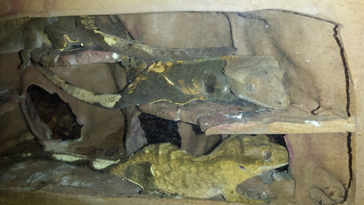 Pet Supply Store «Petco Animal Supplies», reviews and photos, 1574 N Dupont Hwy #300, Dover, DE 19901, USA