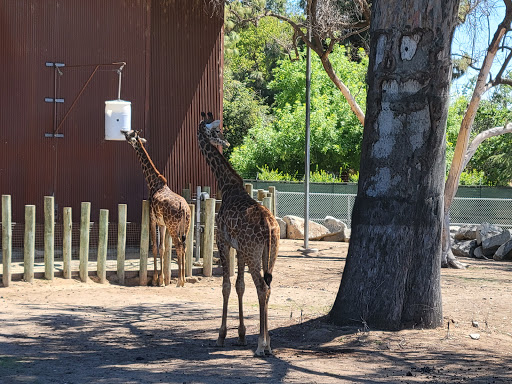 Zoo «Fresno Chaffee Zoo», reviews and photos, 894 W Belmont Ave, Fresno, CA 93728, USA