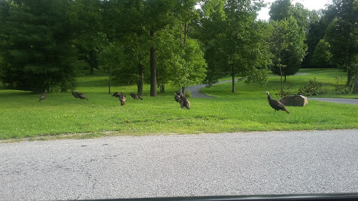 Park «Sodalis Nature Park», reviews and photos, 7700 S County Rd 975 E, Plainfield, IN 46168, USA