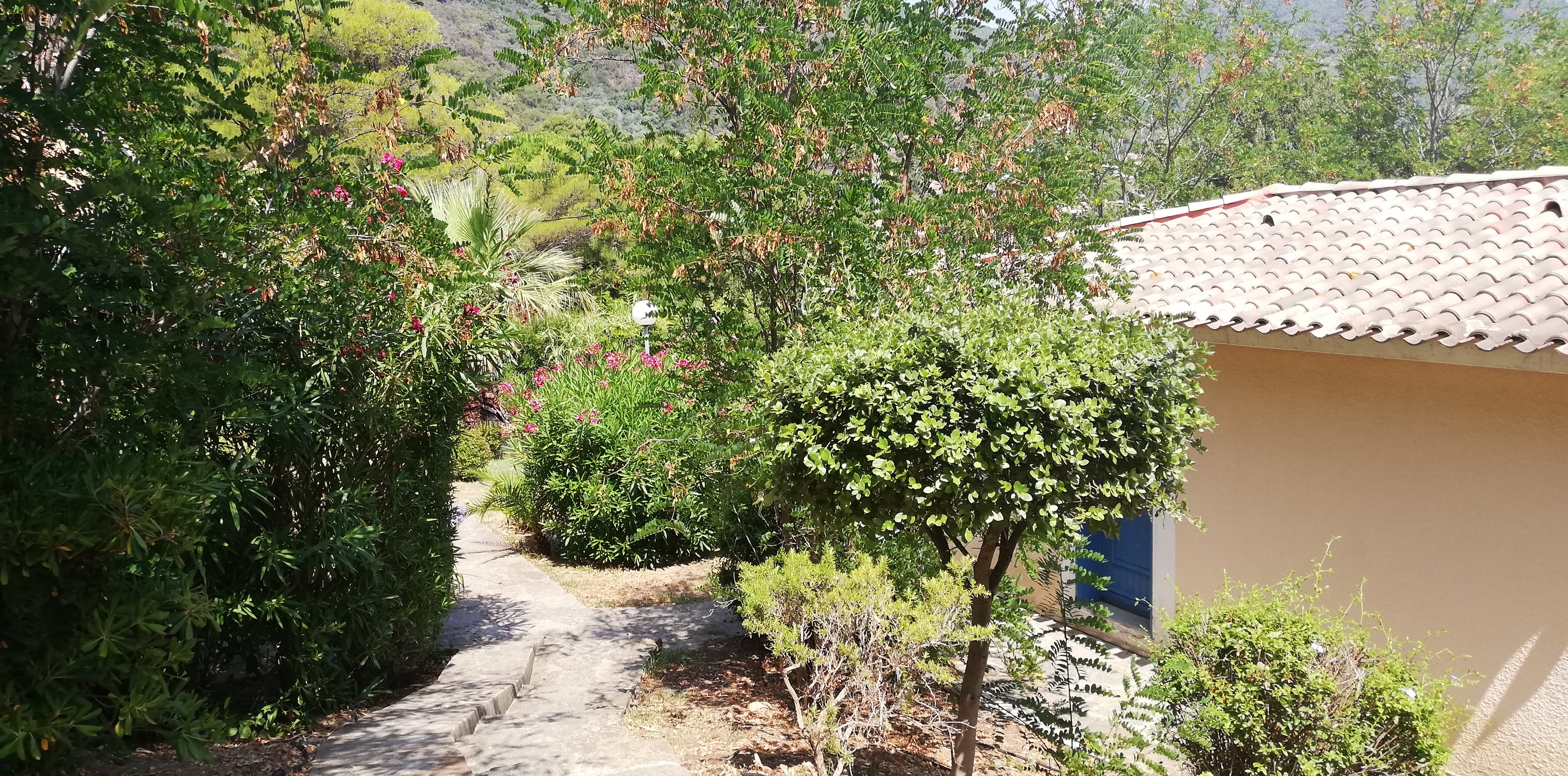 Photo n° 10 de l'avis de manu624000. fait le 05/08/2019 à 12:10