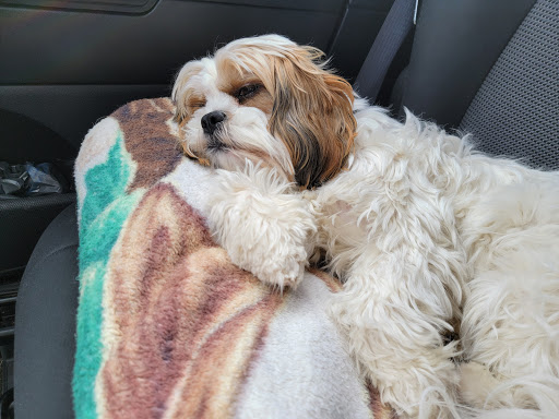 Town & Country Veterinary Clinic image