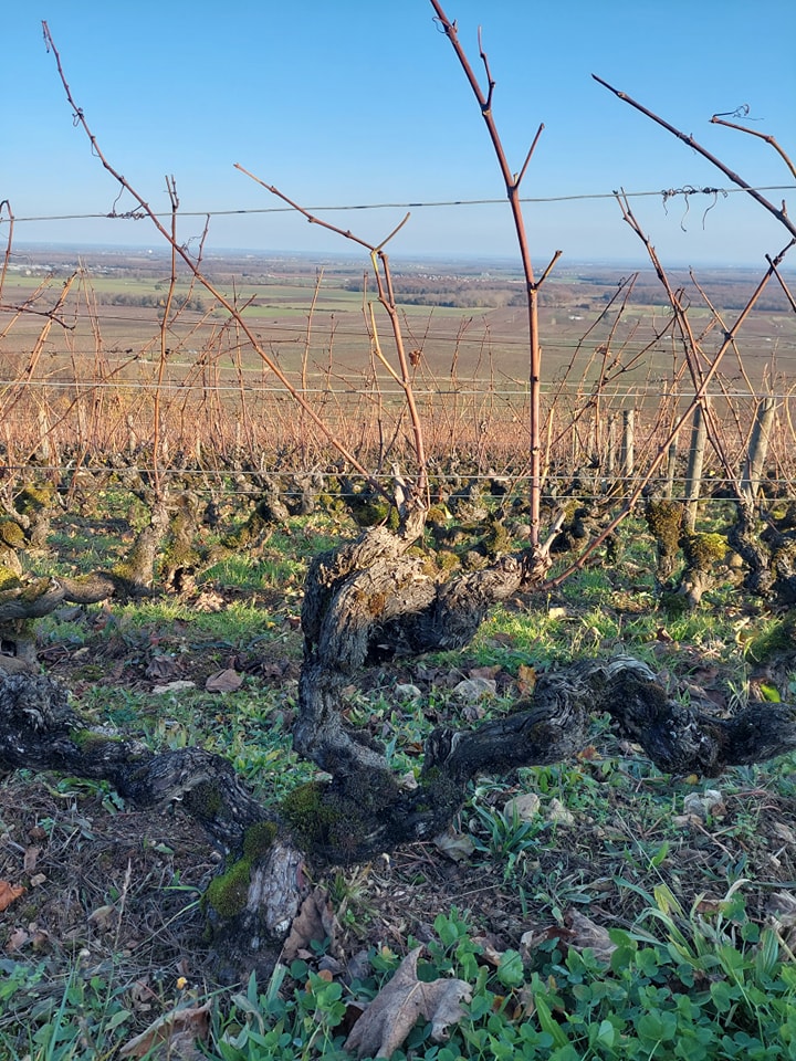 Photo n° 2 de l'avis de Teodoro.i fait le 30/11/2021 à 17:29