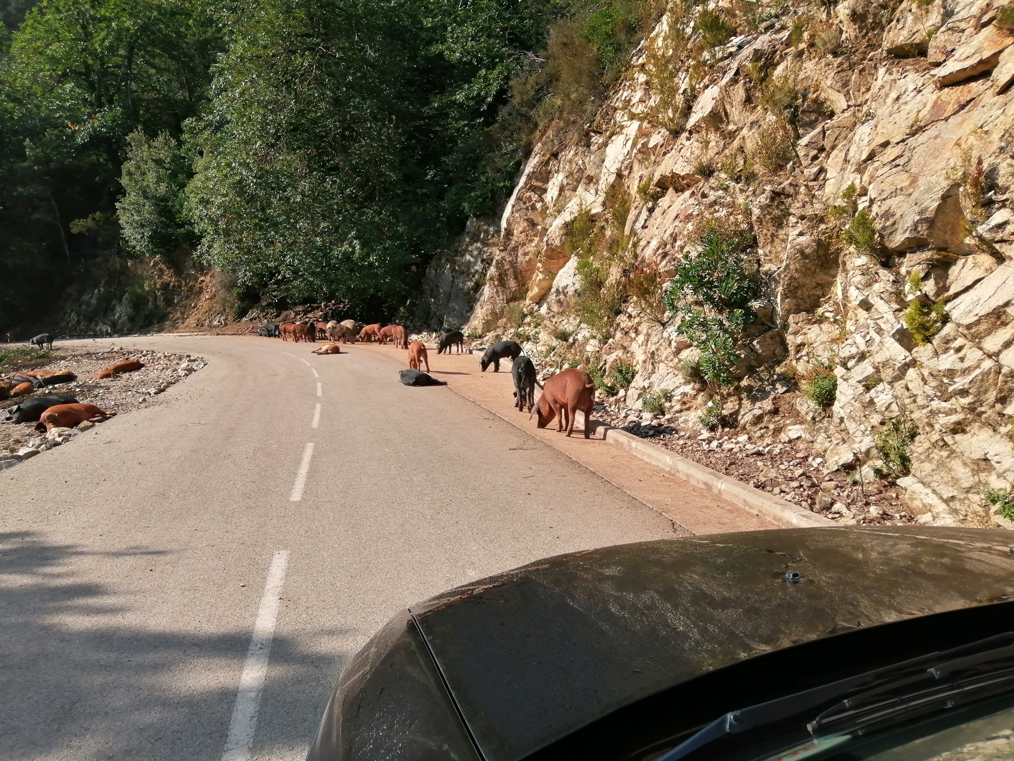 Photo n° 5 de l'avis de vincent.o fait le 10/09/2019 à 07:03