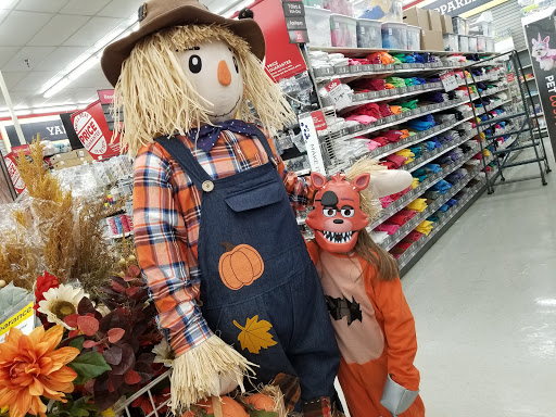 Craft Store «Michaels», reviews and photos, 7900 Plaza Blvd Ste 140, Mentor, OH 44060, USA