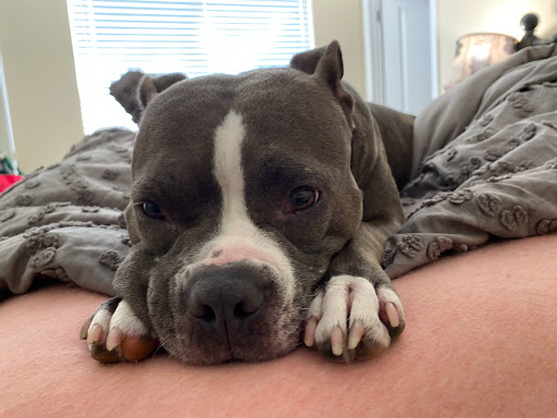 Thrift Store «Temporary Emergency Services», reviews and photos