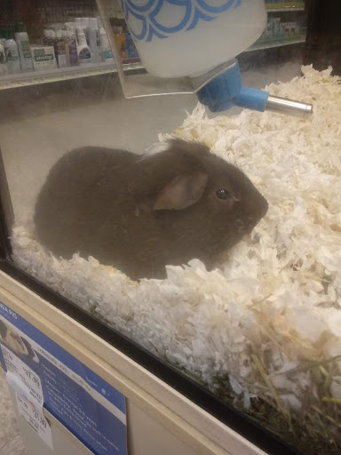 Pet Supply Store «PetSmart», reviews and photos, 2000 Clements Bridge Rd, Woodbury, NJ 08096, USA