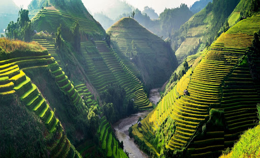 Cerulean World Travel, Luxury Travel Vacations Agency Chicago travel agency