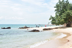 Zdjęcie Mirota Beach z przestronna linia brzegowa