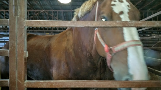 Fair «Colorado State Fair Rentals», reviews and photos, 1001 Beulah Ave, Pueblo, CO 81004, USA