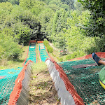 Photo n°1 de l'avis de Giuseppe.e fait le 27/07/2021 à 16:08 sur le  Parco Avventura Adrenalina Verde à Serra San Bruno