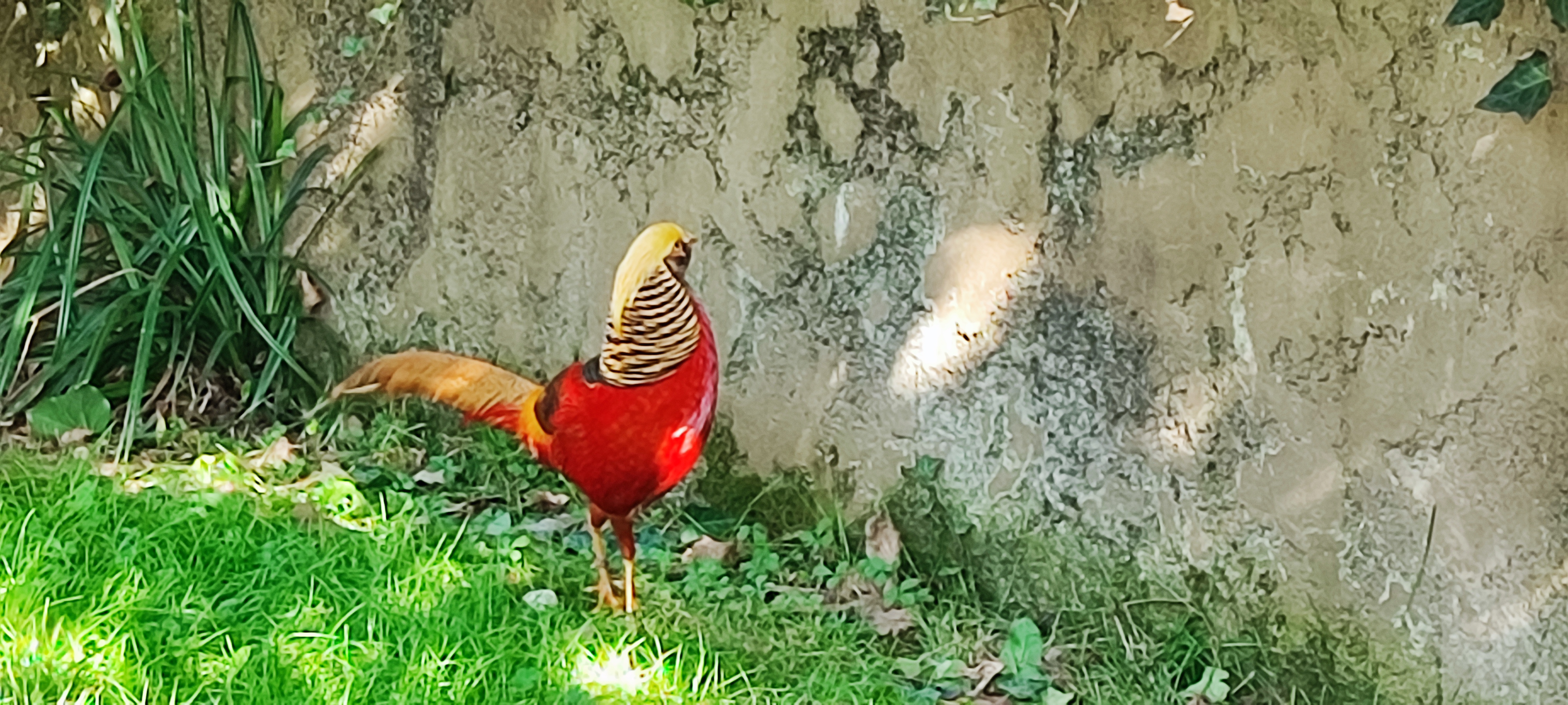 Photo n° 38 de l'avis de Thierry.i fait le 28/09/2023 à 17:40