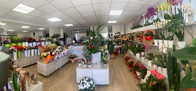 La Vie en Rose, Fleuriste Interflora à Sérignan