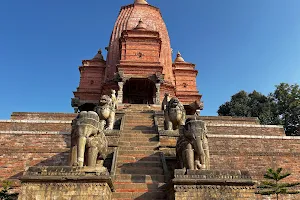 Shilu Mahadev Temple (Phasi Degah) image