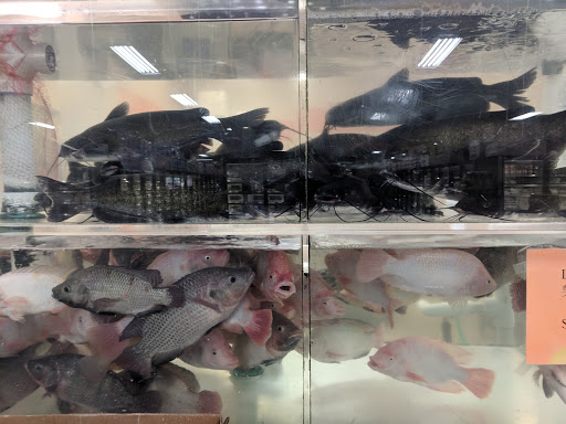 Asian Grocery Store «Pacific Ocean Marketplace - Denver», reviews and photos, 2200 W Alameda Ave, Denver, CO 80223, USA