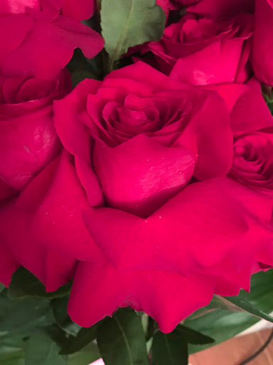 Florist «Blooming City Flowers», reviews and photos, 3000 W Peterson Ave, Chicago, IL 60659, USA