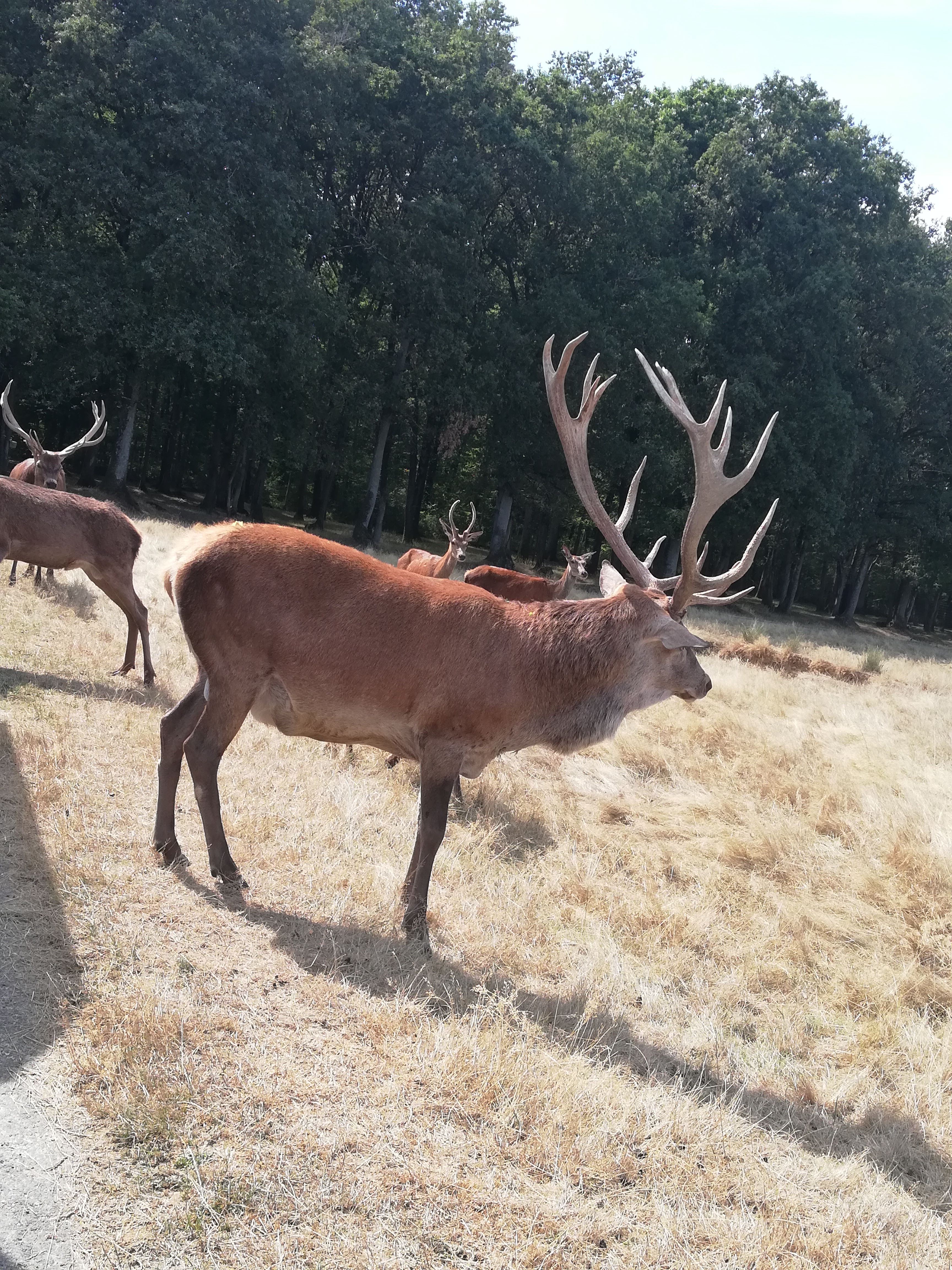 Photo n° 20 de l'avis de Severine.e fait le 23/08/2019 à 23:18