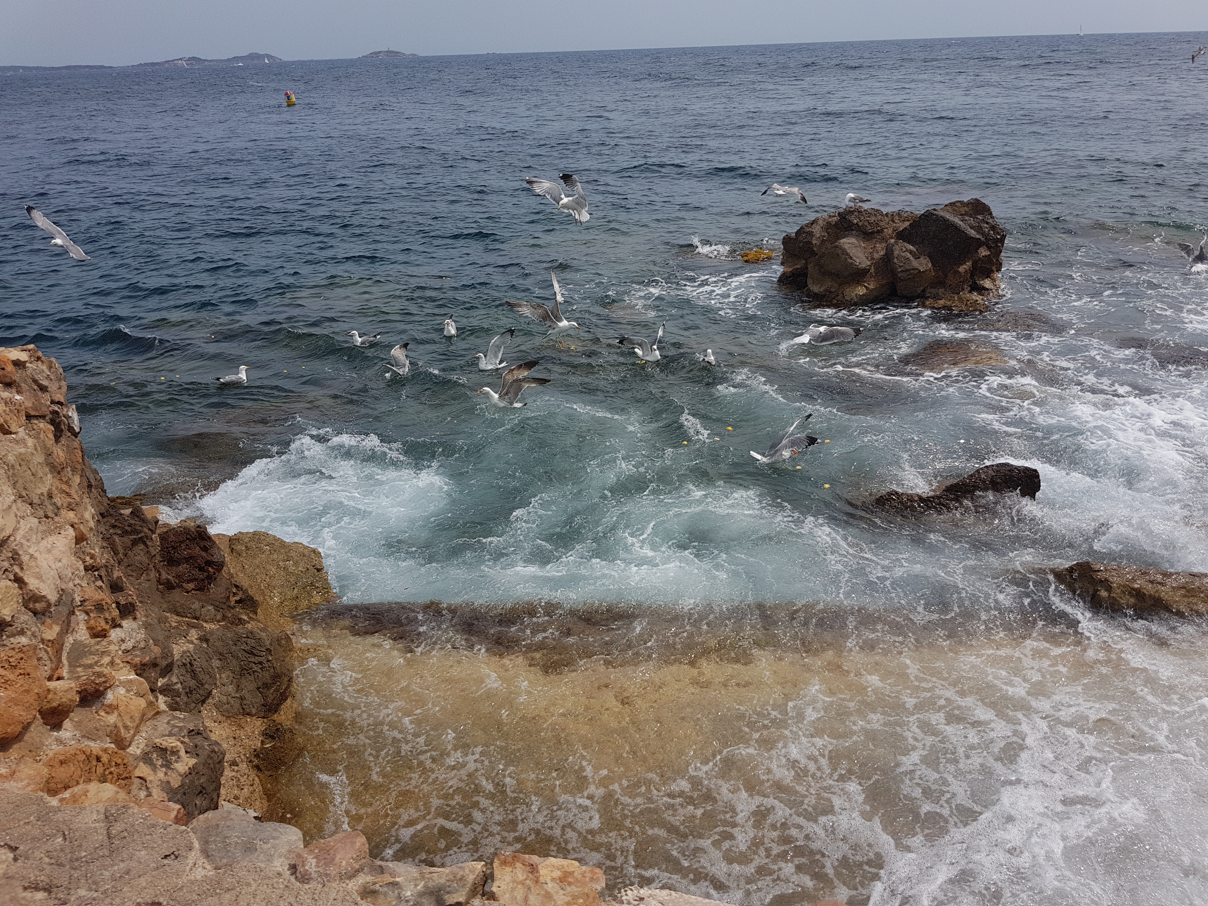 Photo n° 5 de l'avis de Stephane.e fait le 15/06/2019 à 18:04