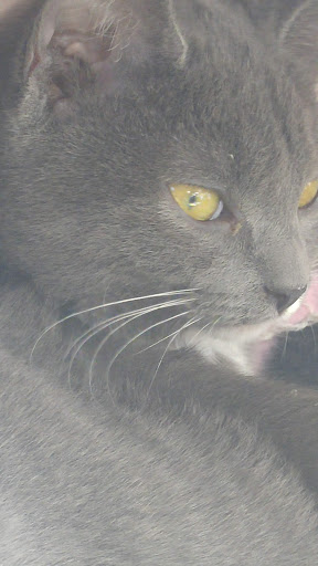 Pet Supply Store «Pet Valu», reviews and photos, 200 Biggs Blvd, Harrison, OH 45030, USA