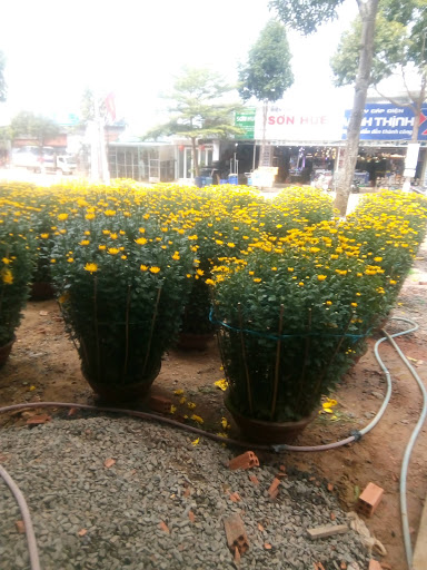 Top 14 cửa hàng vans tphcm Huyện Ea Kar Đắk Lắk 2022