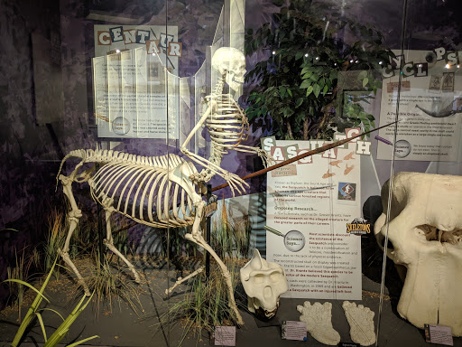 Museum «SKELETONS: Museum Of Osteology», reviews and photos, 8441 International Dr Suite 250, Orlando, FL 32819, USA