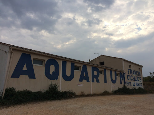 Aquarium Franchi Cichlid's à Cabriès