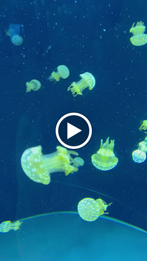 Explore love tattoos ideas, creative tattoo ideas in South Padre Island, available at Peggys Temporary & Permanent Tattoos