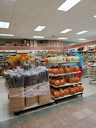 Home Goods Store «Christmas Tree Shops», reviews and photos, 5450 Brandywine Pkwy, Wilmington, DE 19803, USA