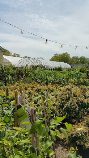 Farm «Dreyer Farms», reviews and photos, 831 Springfield Ave, Cranford, NJ 07016, USA