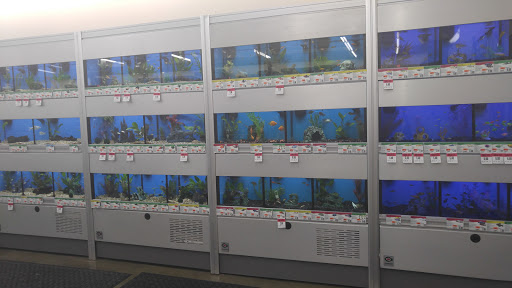 Pet Supply Store «Pet Supplies Plus», reviews and photos, 1407 Lincoln Hwy, Levittown, PA 19056, USA