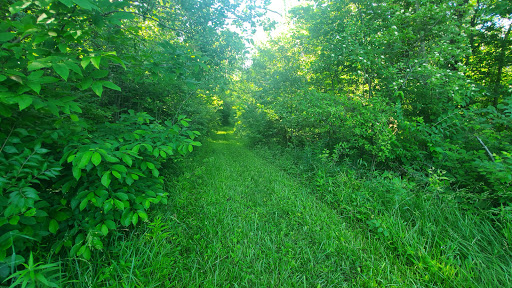 Nature Preserve «Burnett Woods», reviews and photos, 8264 E County Rd 100 S, Avon, IN 46123, USA