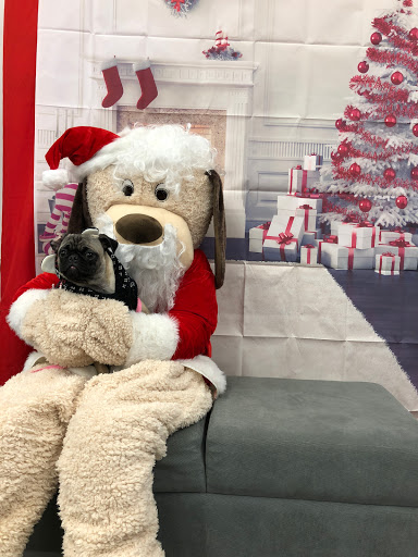 Pet Store «PetSmart», reviews and photos, 3152 Phoenix Center Dr, Washington, MO 63090, USA