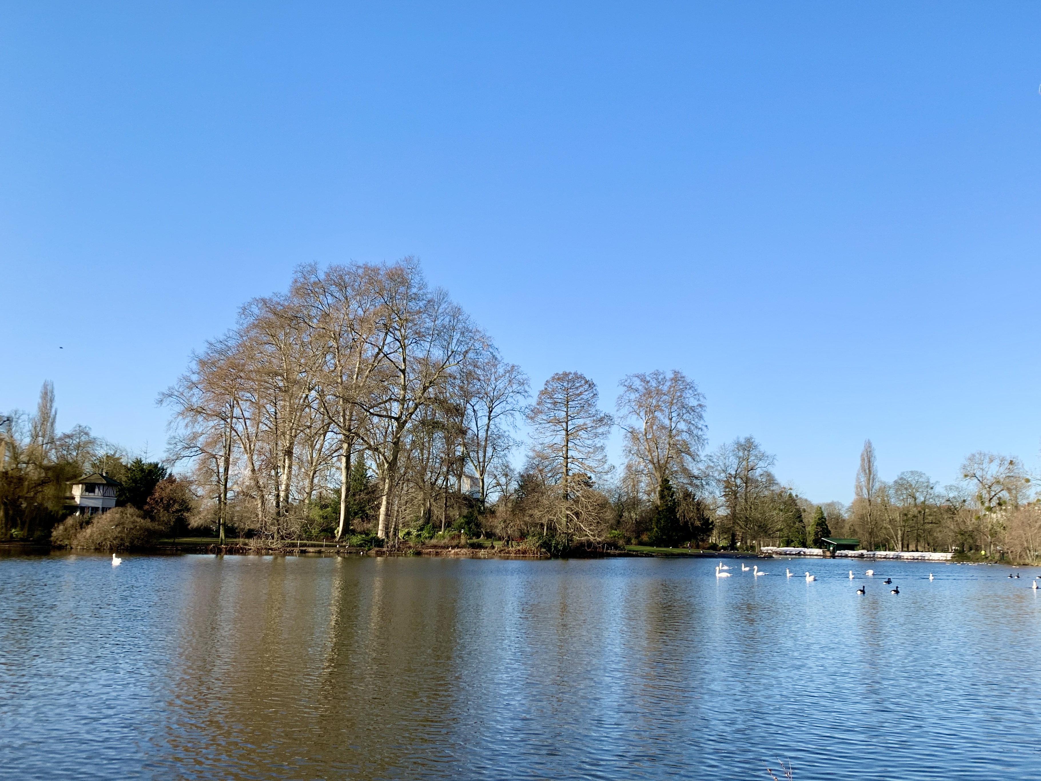 Photo n° 7 de l'avis de Agnès. fait le 10/02/2022 à 08:51