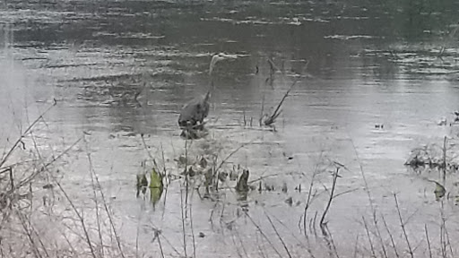 Nature Preserve «Orland Grassland», reviews and photos, 167th Street & S La Grange Road, Tinley Park, IL 60487, USA