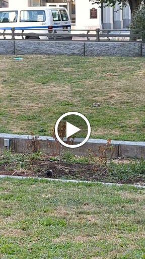 Park «Military Park», reviews and photos, 51 Park Pl, Newark, NJ 07102, USA