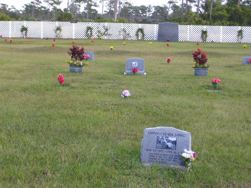 Twin Oaks Pet Cemetery and Crematorium