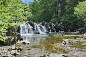 Hannacroix Creek Preserve image